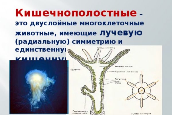 Кракен зеркало на тор