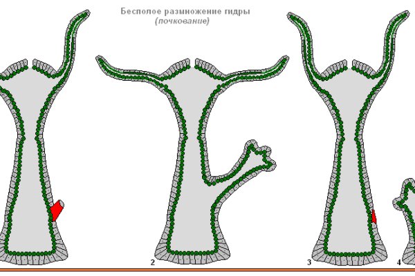 Кракен не грузит