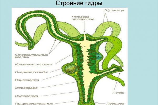 Кракен даркнет отменился заказ